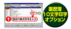 薬歴簿10文字印字オプション